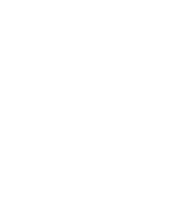 elfino Racing Logo