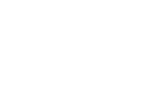 elfino Racing Logo